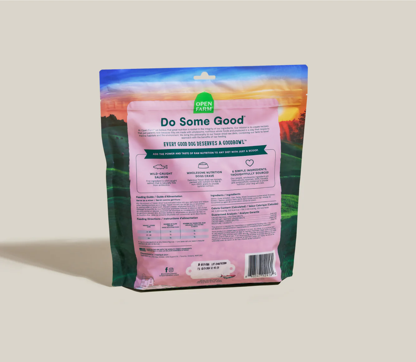 Goodbowl Wild-Caught Salmon Recipe with Wholesome Grains Freeze-Dried Raw Dog Food Image 3