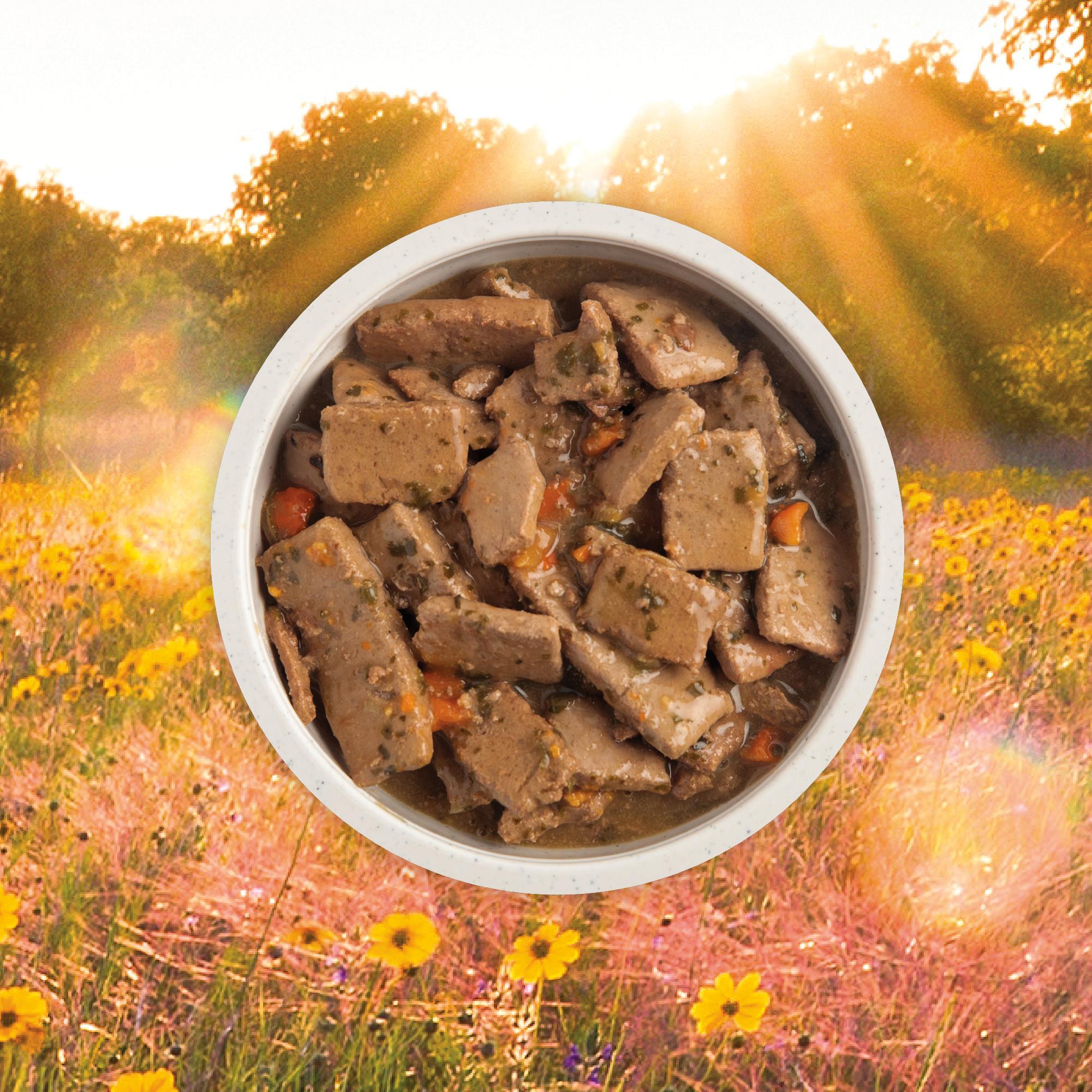 ACANA Premium Chunks - Beef Recipe in Bone Broth Image 2
