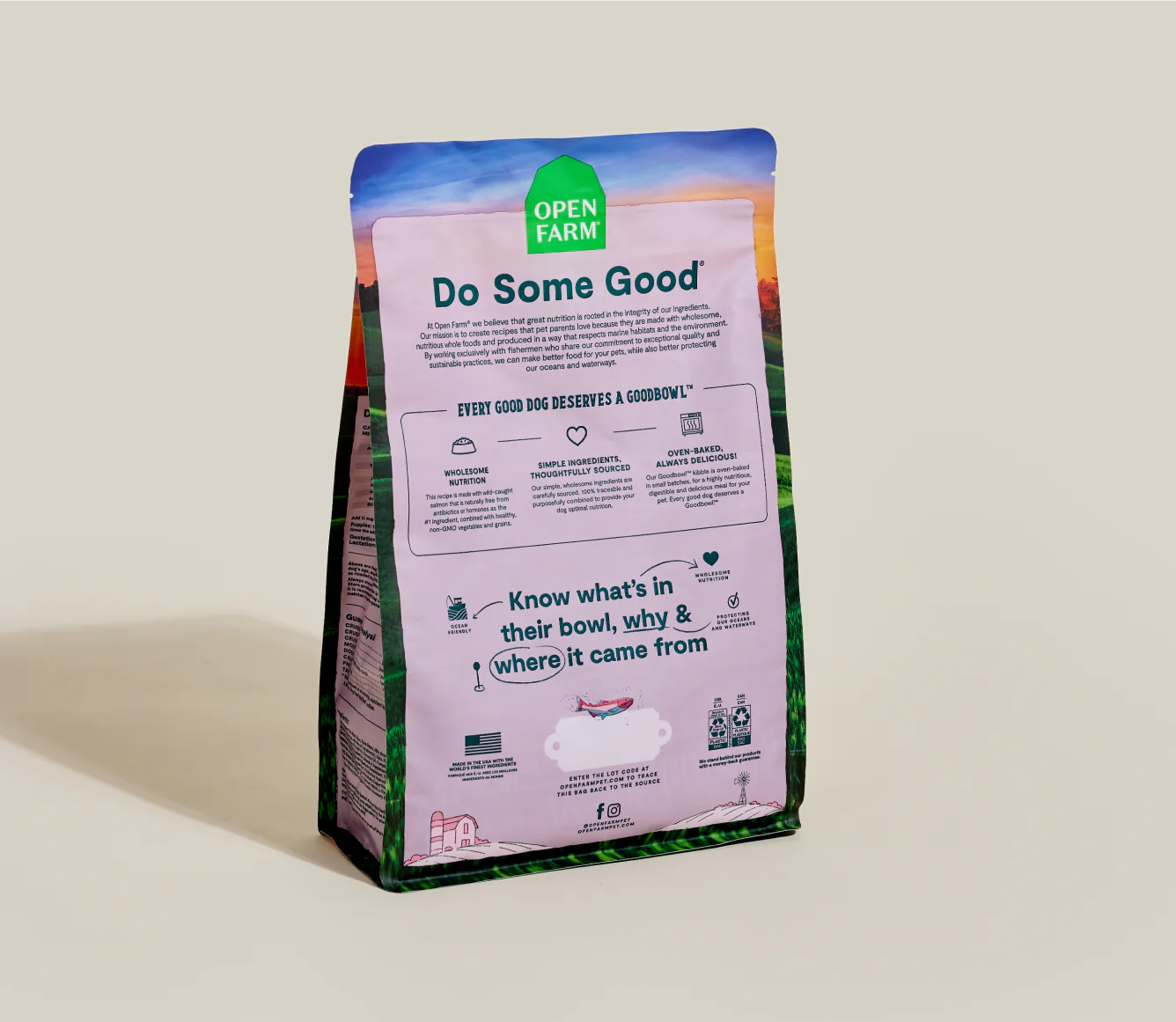 Goodbowl Wild-Caught Salmon & Brown Rice Recipe Dry Dog Food Image 3