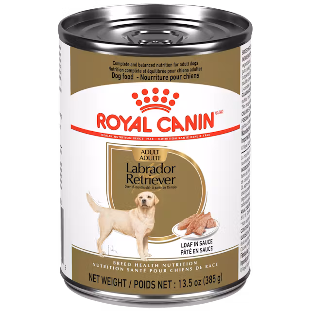 Labrador Retriever Adult Canned Wet Food Image