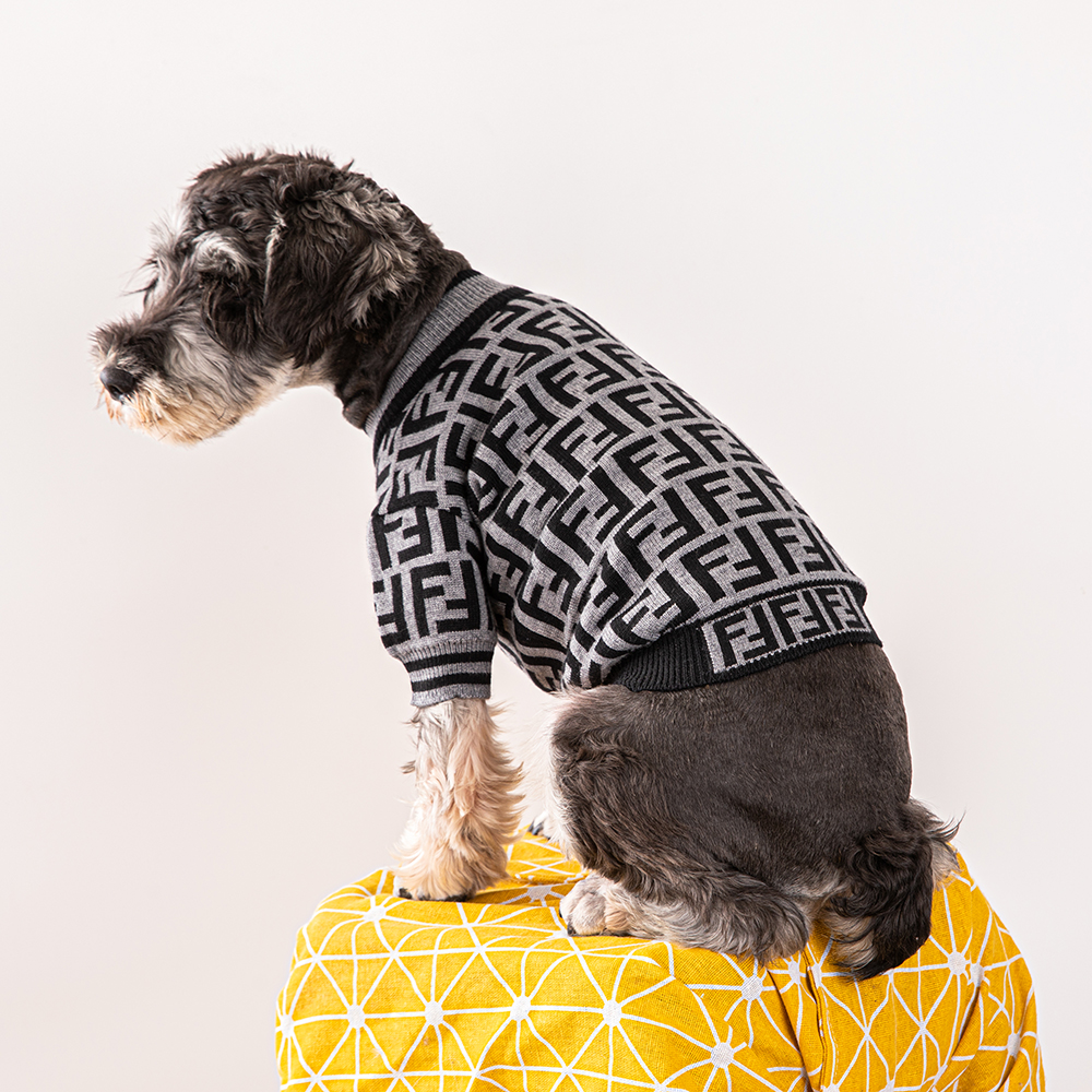 FF Grey Sweater Image 1