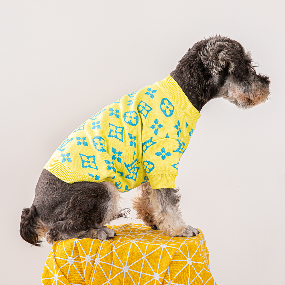 LV Yellow Sweater Image 0