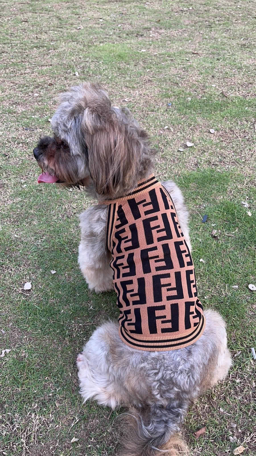 FD Tank Top  Image 5