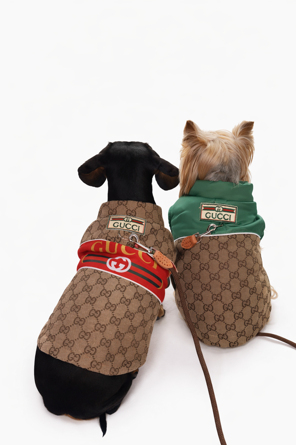 Luxury Monogram Crossbody Pet Carrier (Brown/Red Edition) Image 0