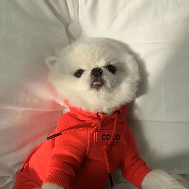 CoCo Hot Red Hoodie Image 2