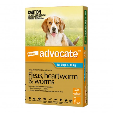 Image for Advocate Medium Dog Aqua