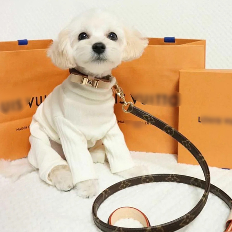 LV Collar & Leash Image 10