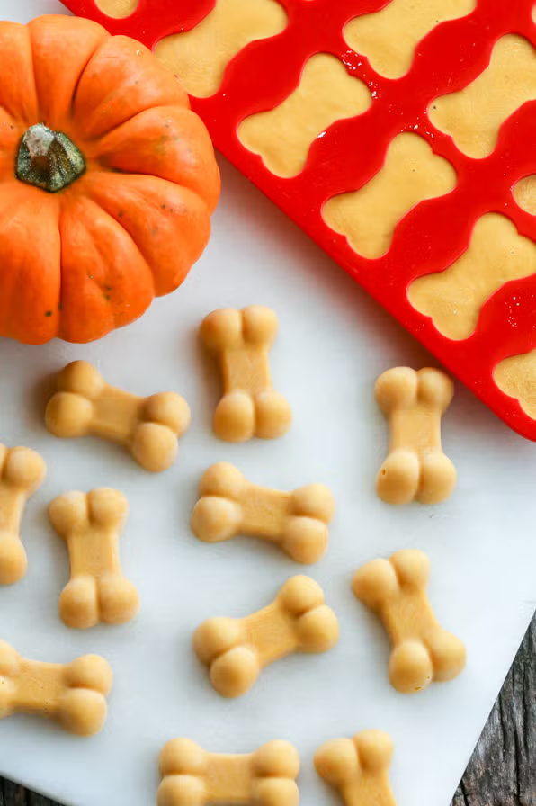 Frosty Pumpkin Dog Treats  Image