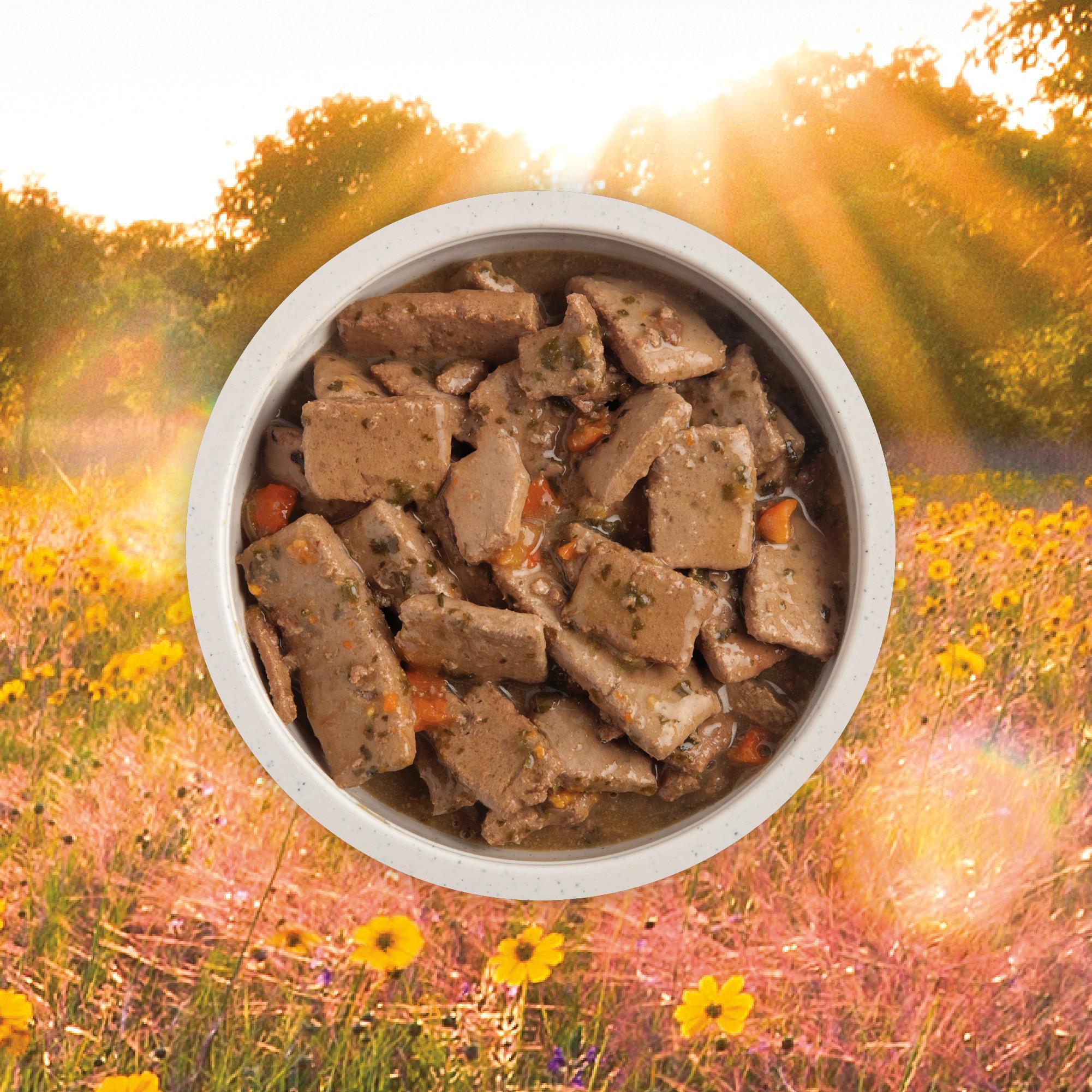 ACANA Premium Chunks - Lamb Recipe in Bone Broth Image 2