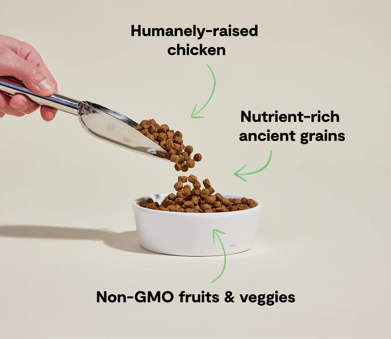 Harvest Chicken & Ancient Grains Dry Dog Food Image 2