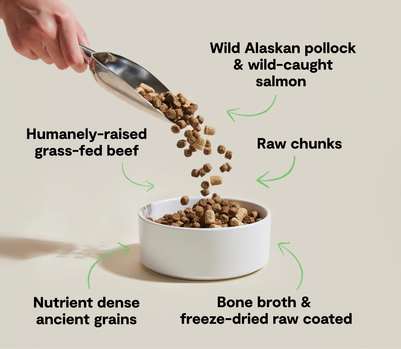RawMix Tide & Terrain with Ancient Grains Dry Dog Food Image 2
