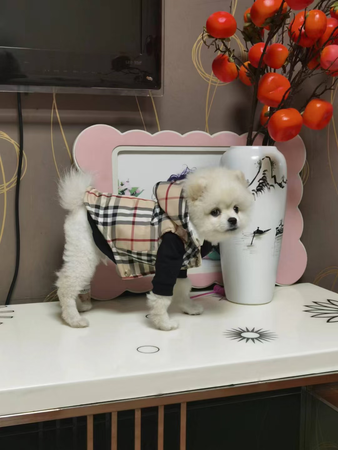 BuBerry Vest Image 1