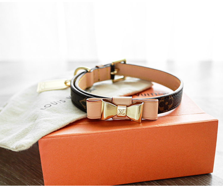 LV Collar & Leash Image 6