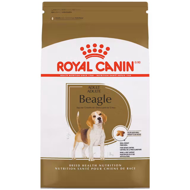 Beagle Adult Dog Food Image