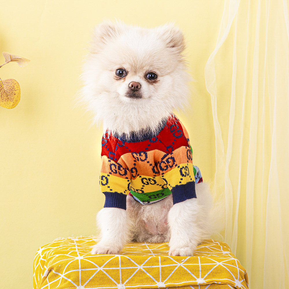 GG Rainbow Sweater Image 0