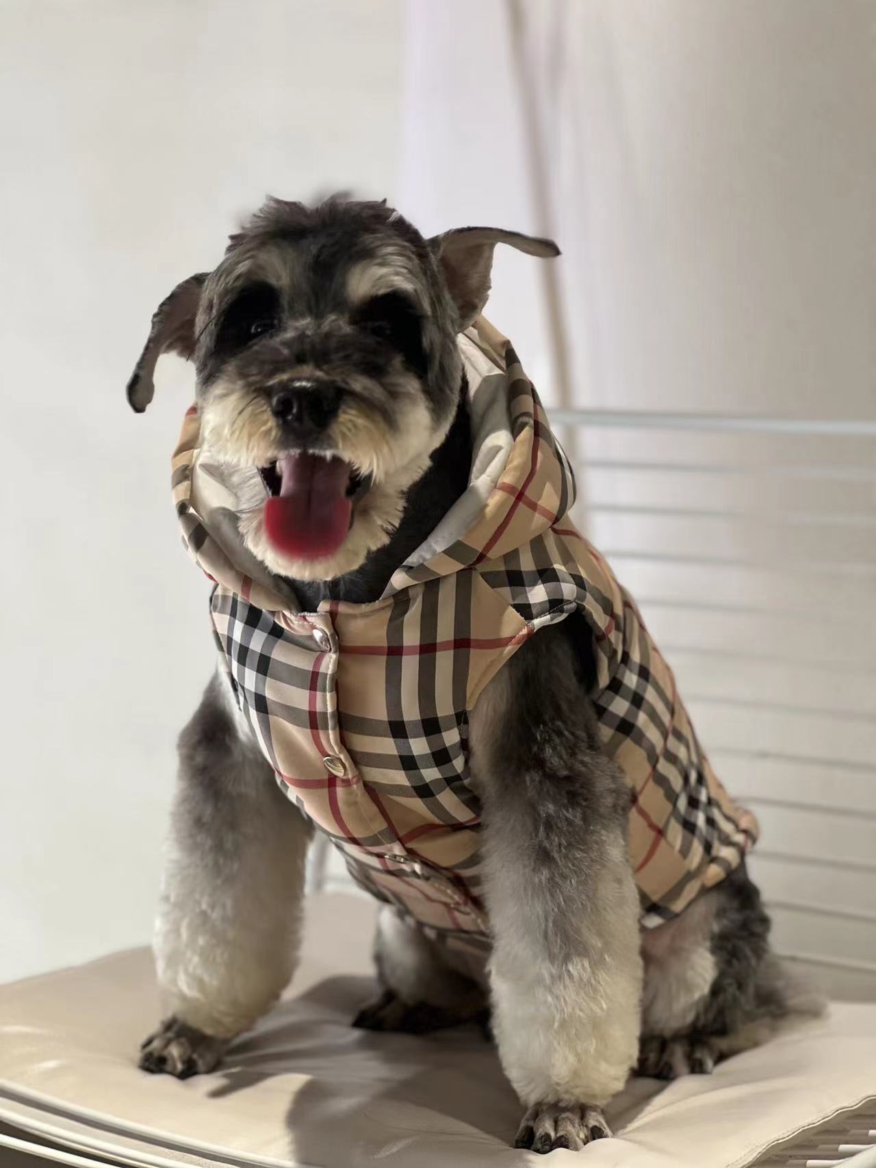 BuBerry Vest Image 0