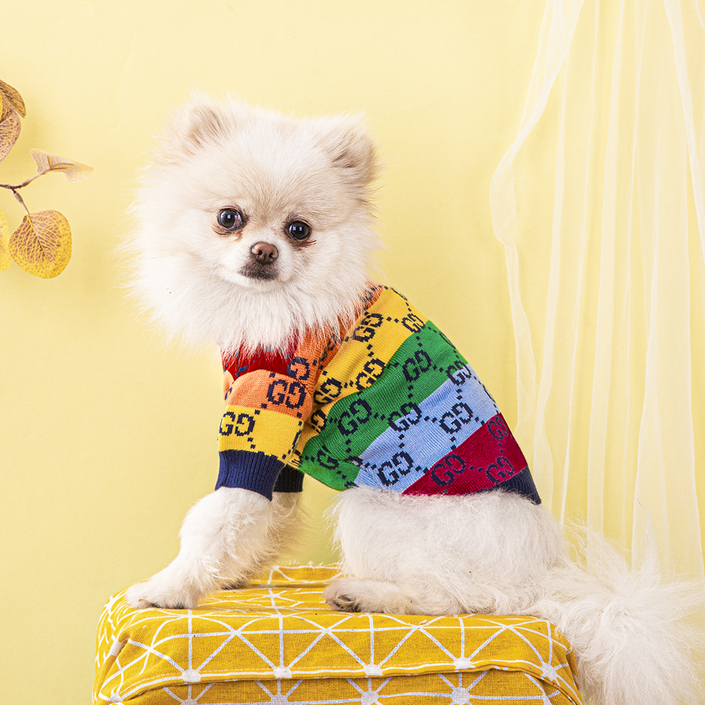 GG Rainbow Sweater Image 1