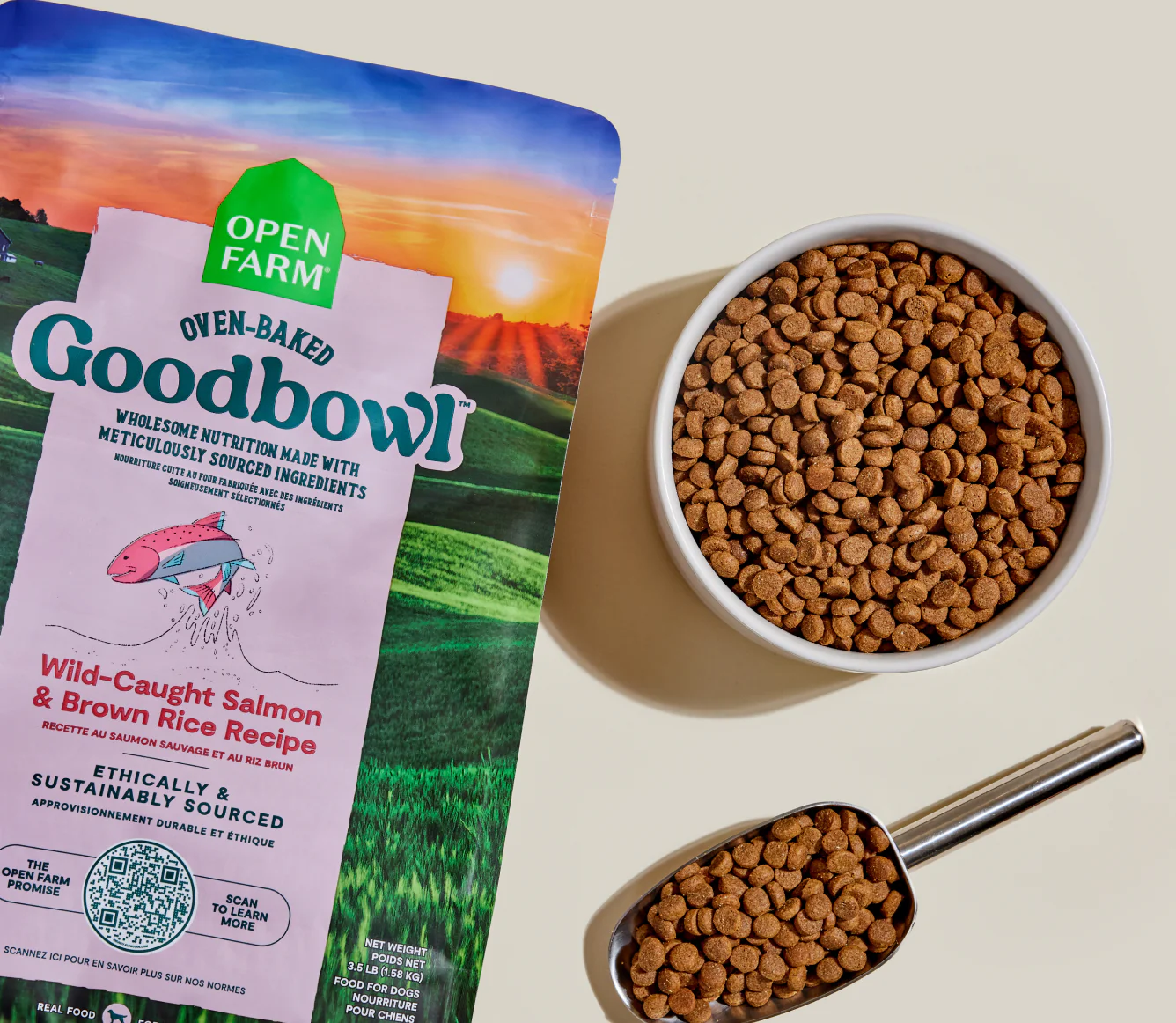 Goodbowl Wild-Caught Salmon & Brown Rice Recipe Dry Dog Food Image 1