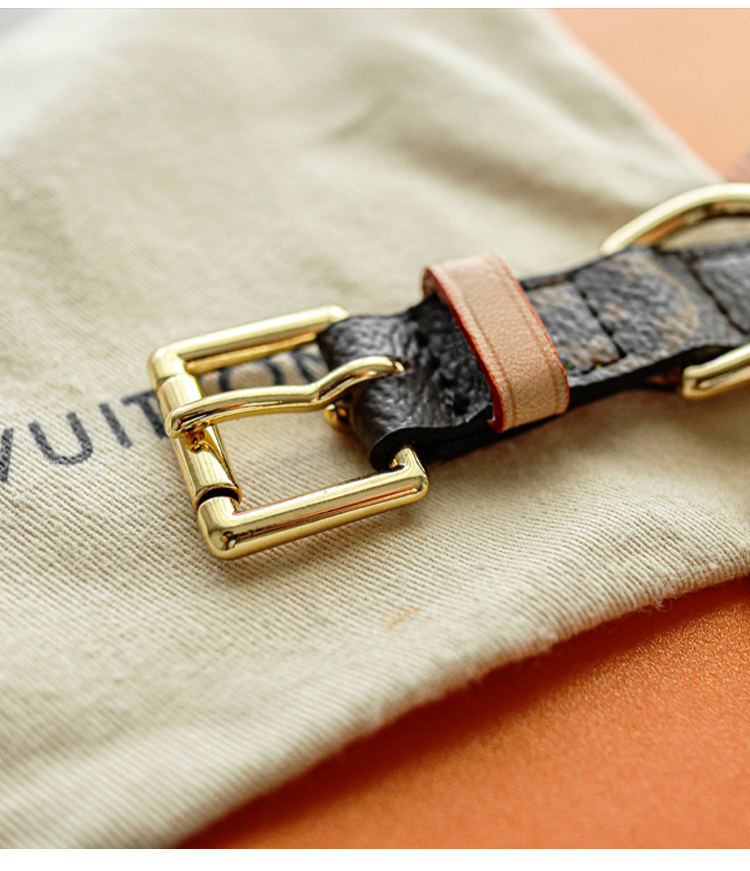 LV Collar & Leash Image 9