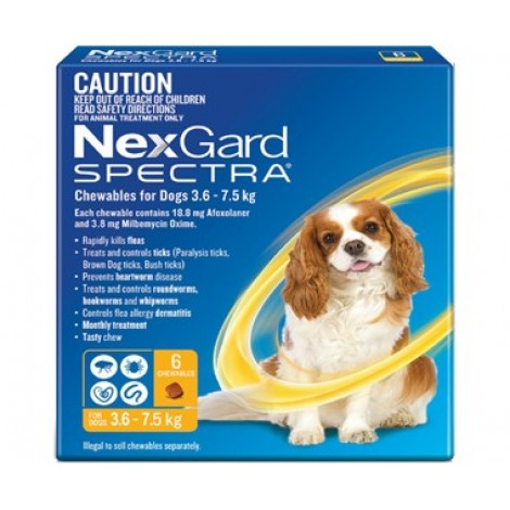 Image for Nexgard Spectra Yellow Small Dog