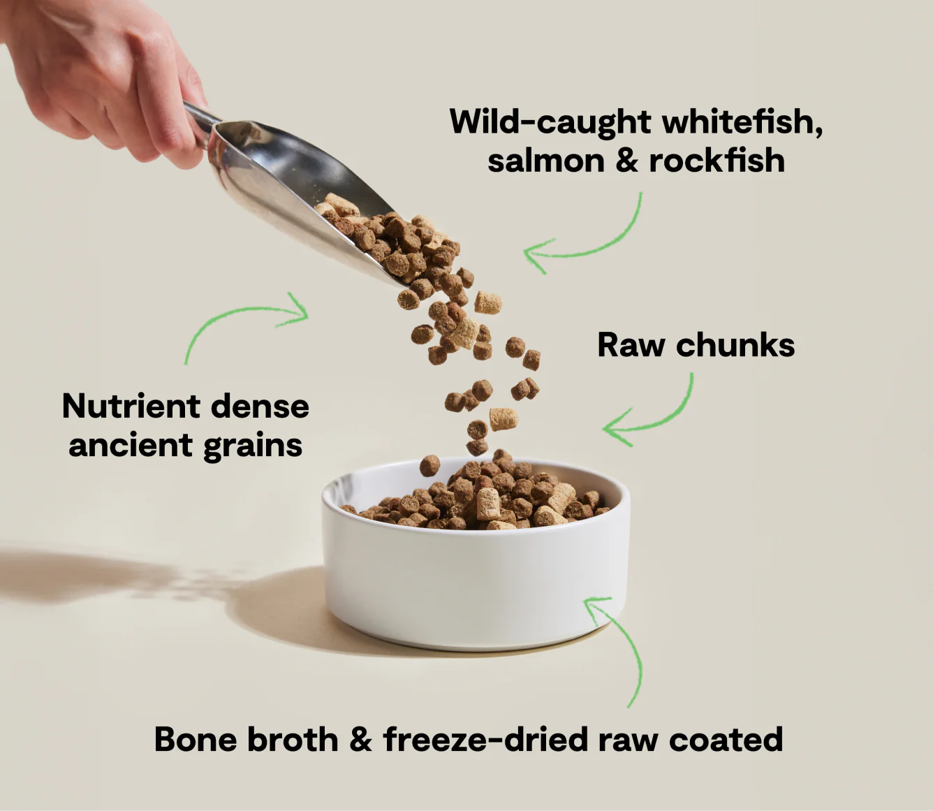 RawMix Wild Ocean Recipe with Ancient Grains Dry Dog Food Image 2