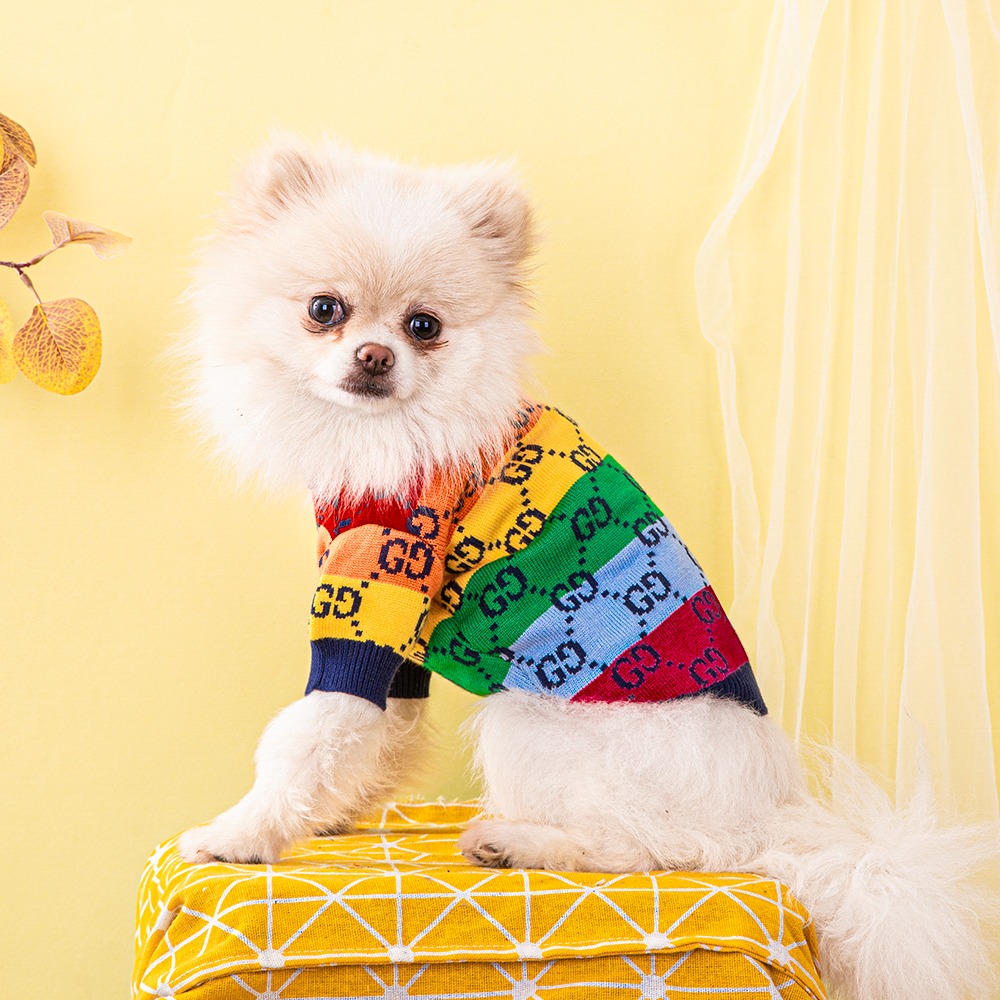 GG Rainbow Sweater Image 4