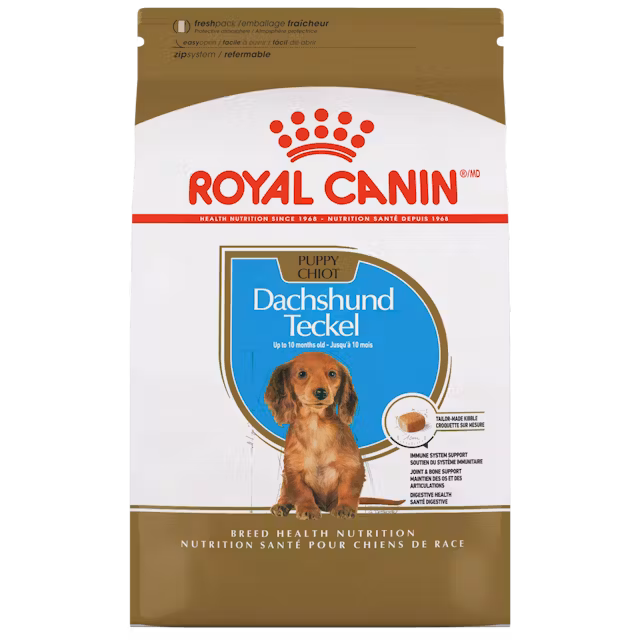Dachshund Puppy Dry Dog Food Image