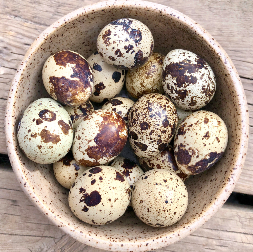 Frozen Quail Eggs Image 1