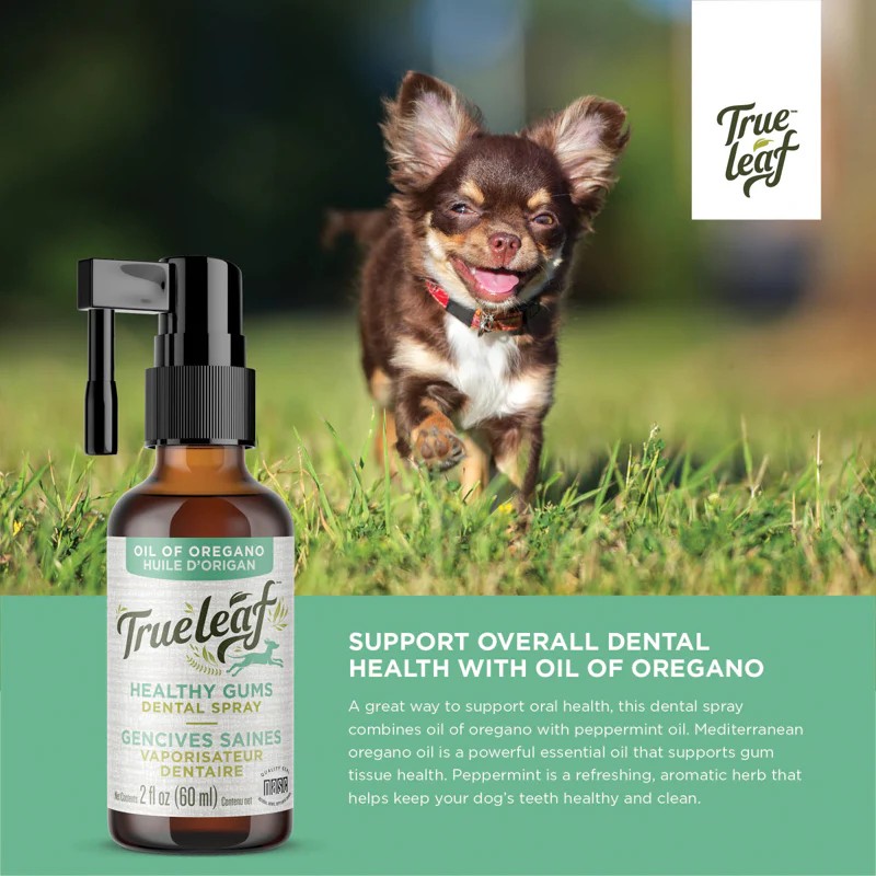True Leaf 
Healthy Mouth Dental Spray Image 1
