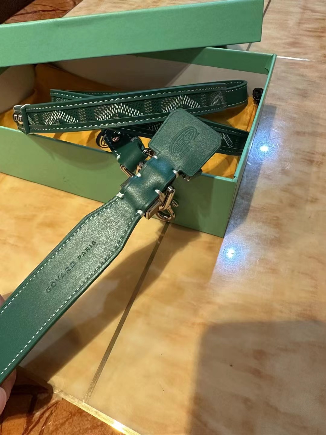 Green Collar and Leash Image 1