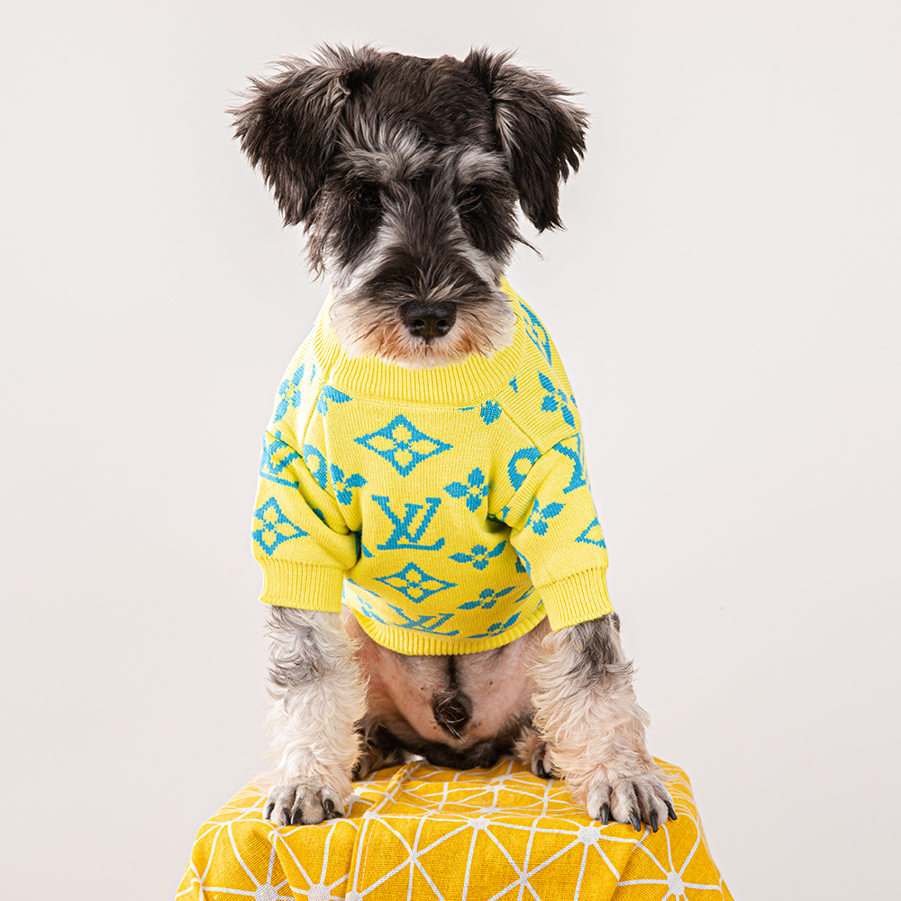 LV Yellow Sweater Image 1