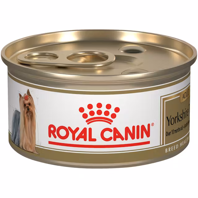 Yorkshire Terrier Adult Canned Wet Food Image