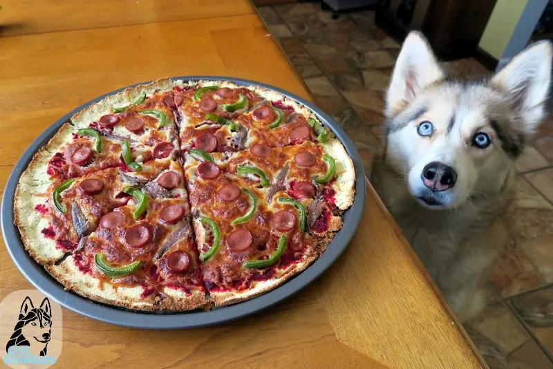 Veggie & turkey Pizza Image