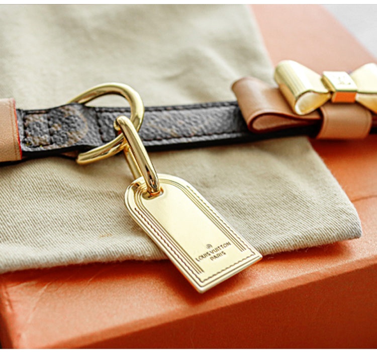 LV Collar & Leash Image 2
