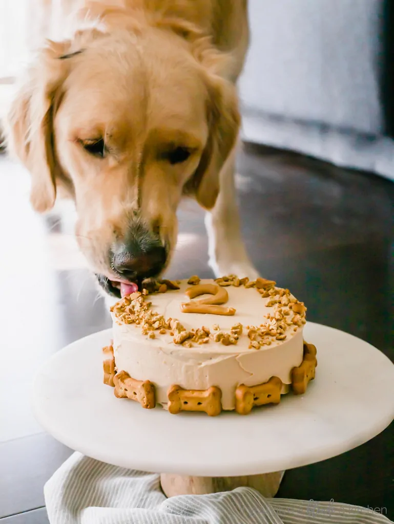 Image for Pumpkin Cake