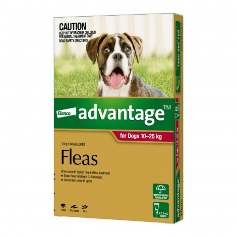 Image for Advantage Large Dog Red