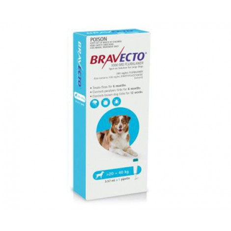 Bravecto Spot On Large Dogs Blue Image