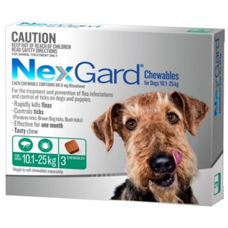 Nexgard Green Medium Dog Image