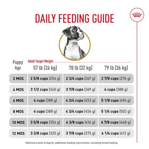 Boxer Puppy Dry Dog Food Image 2