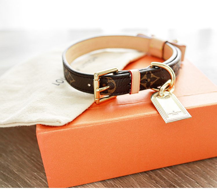 LV Collar & Leash Image 5