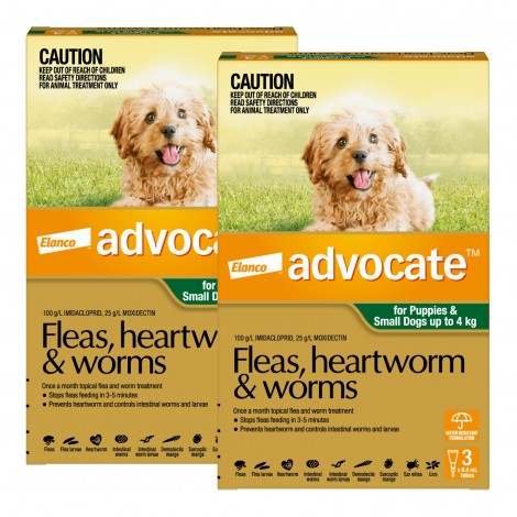 Image for Advocate Small Dogs & Puppies Green