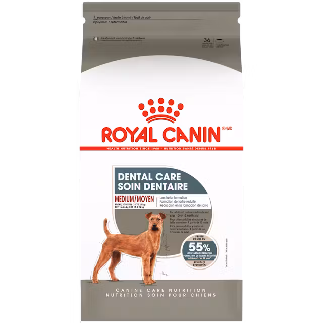 Canine Care Nutrition Medium Dental Care Dog Image