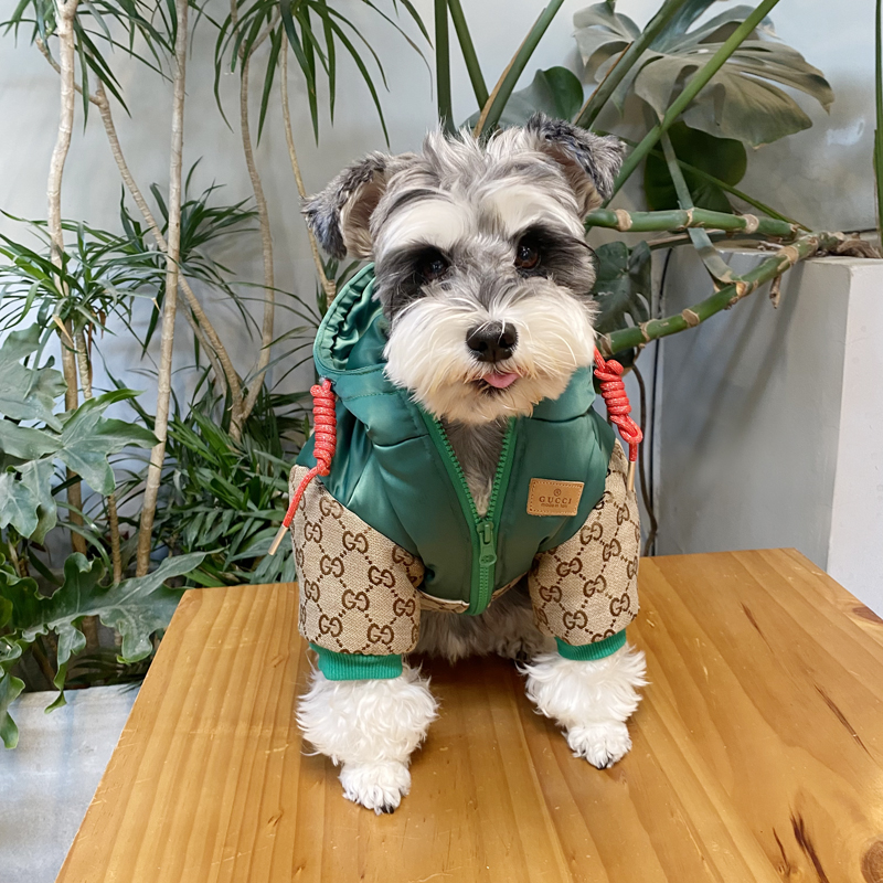 GG Jacket with Leash Image 2