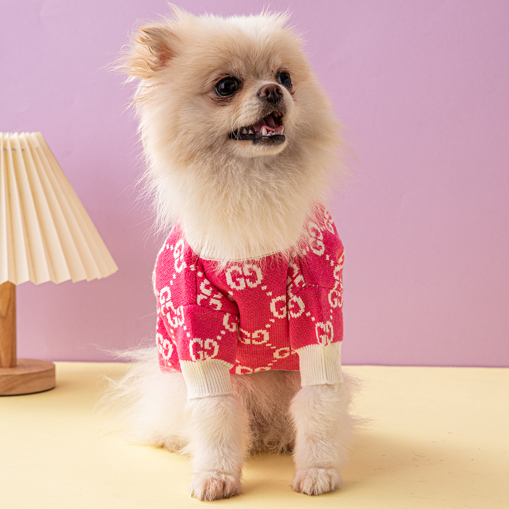 GG Pink & Beige Sweater  Image 0