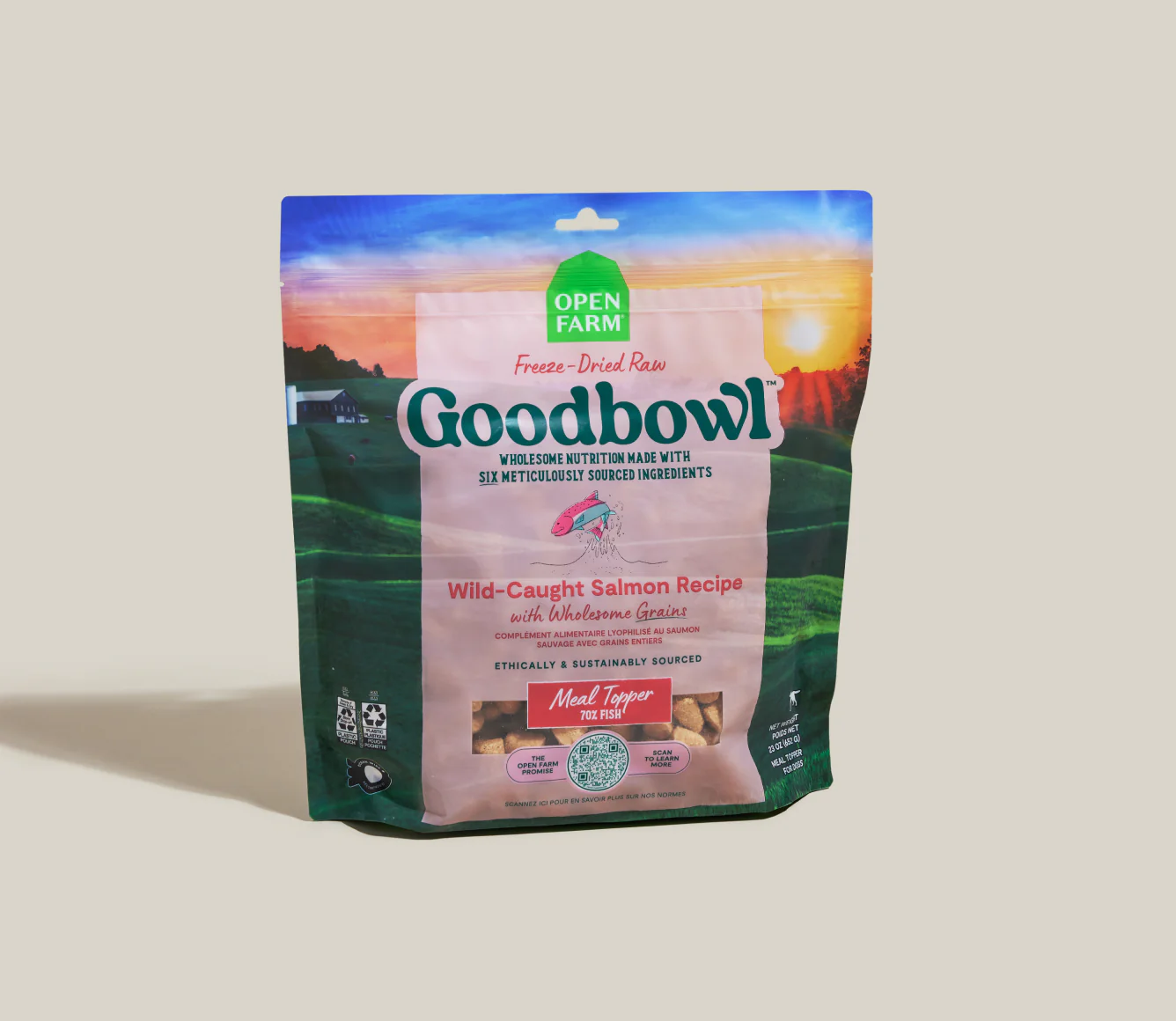 Goodbowl Wild-Caught Salmon Recipe with Wholesome Grains Freeze-Dried Raw Dog Food Image 0