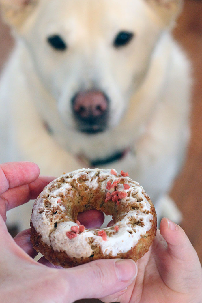 Yogurt bacon donuts Image 1