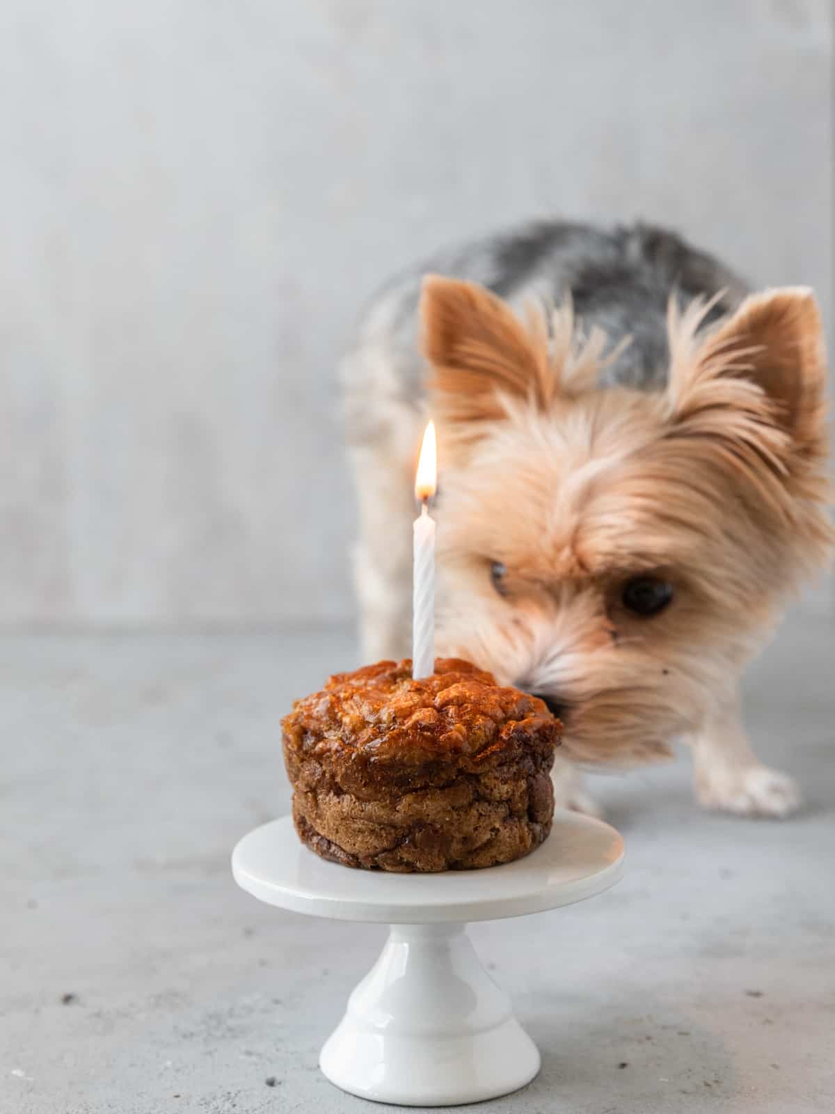 Image for Apple peanut butter cake