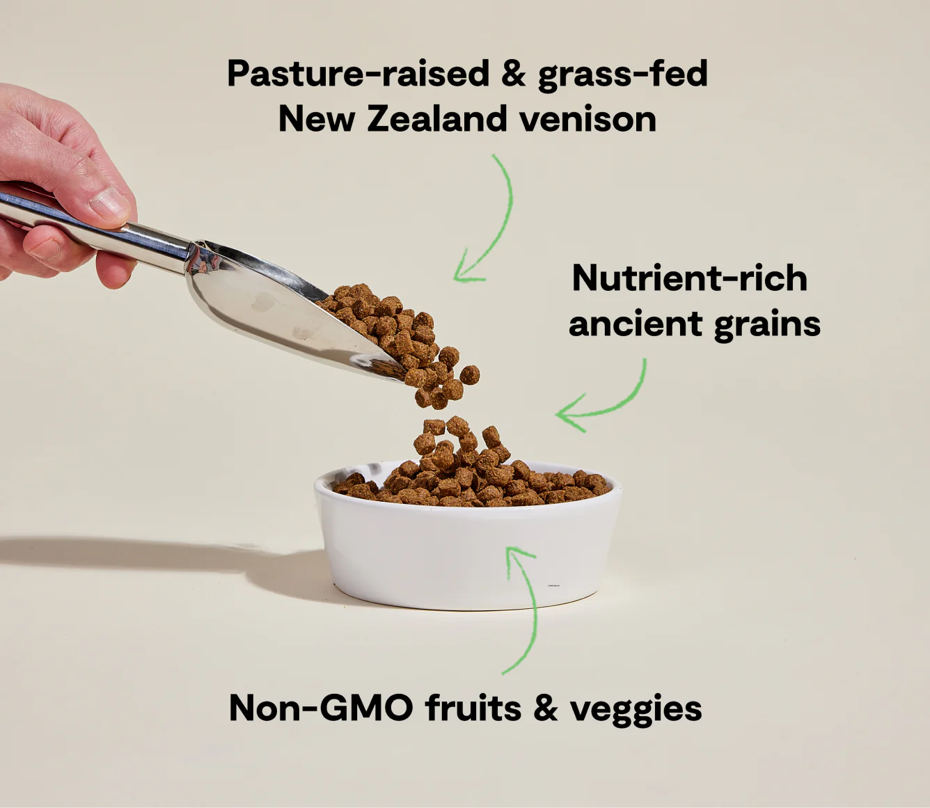 New Zealand Venison & Ancient Grains Recipe Dry Dog Food  Image 2