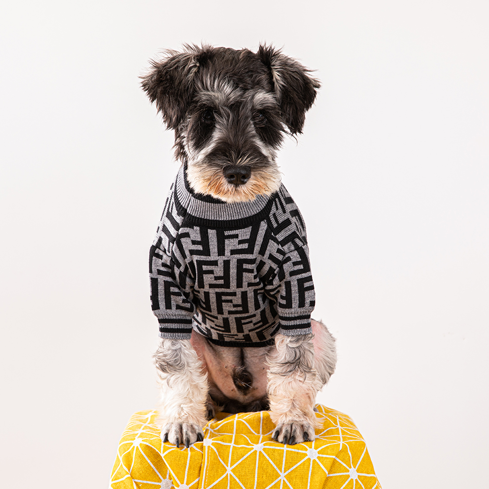 FF Grey Sweater Image 3