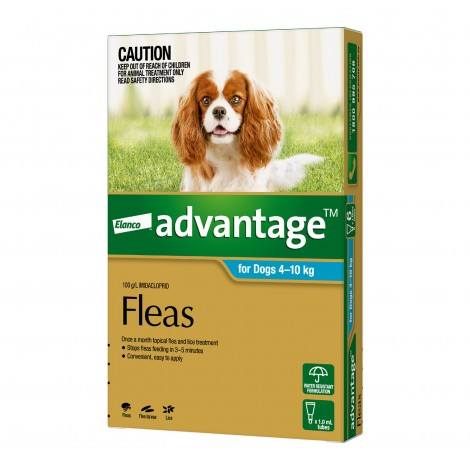 Image for Advantage Medium Dog Aqua